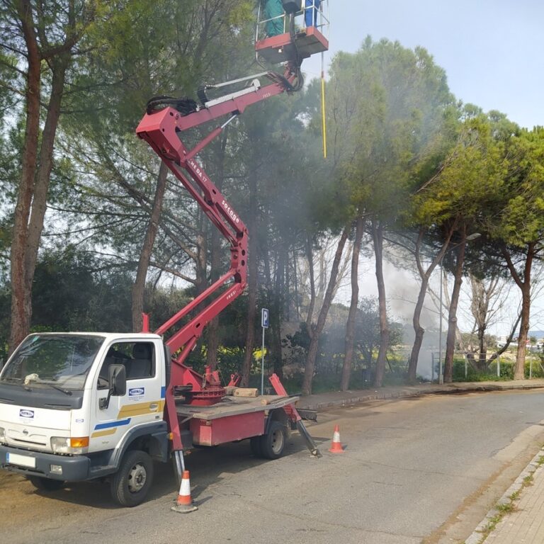 481288974_1241527397595940_5992547971096882821_n