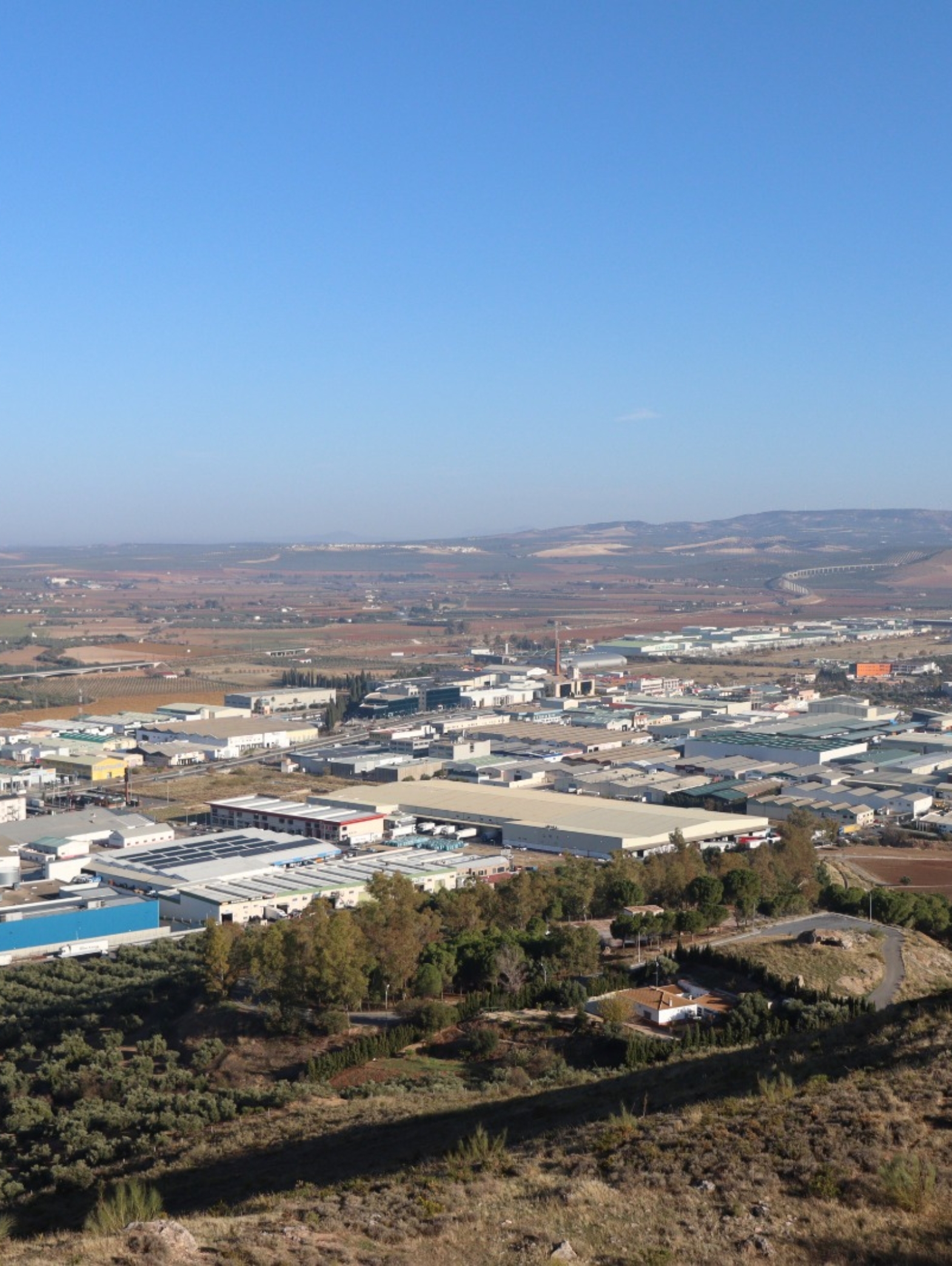 WhatsApp Image 2025-11-27 at 10.25.50