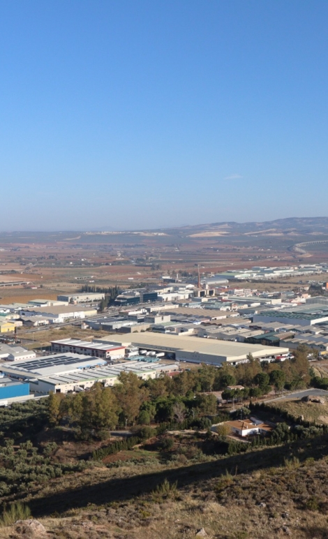 WhatsApp Image 2025-11-27 at 10.25.50